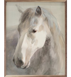 Gentle Horse Crop By Danhui Nai